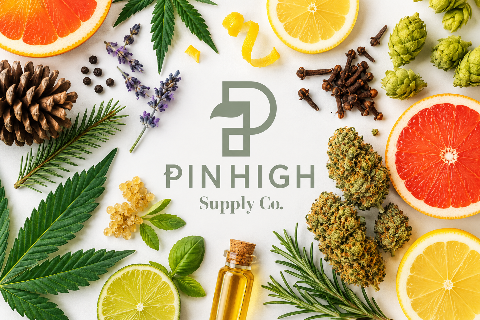 What Are Terpenes and Why Do They Matter?