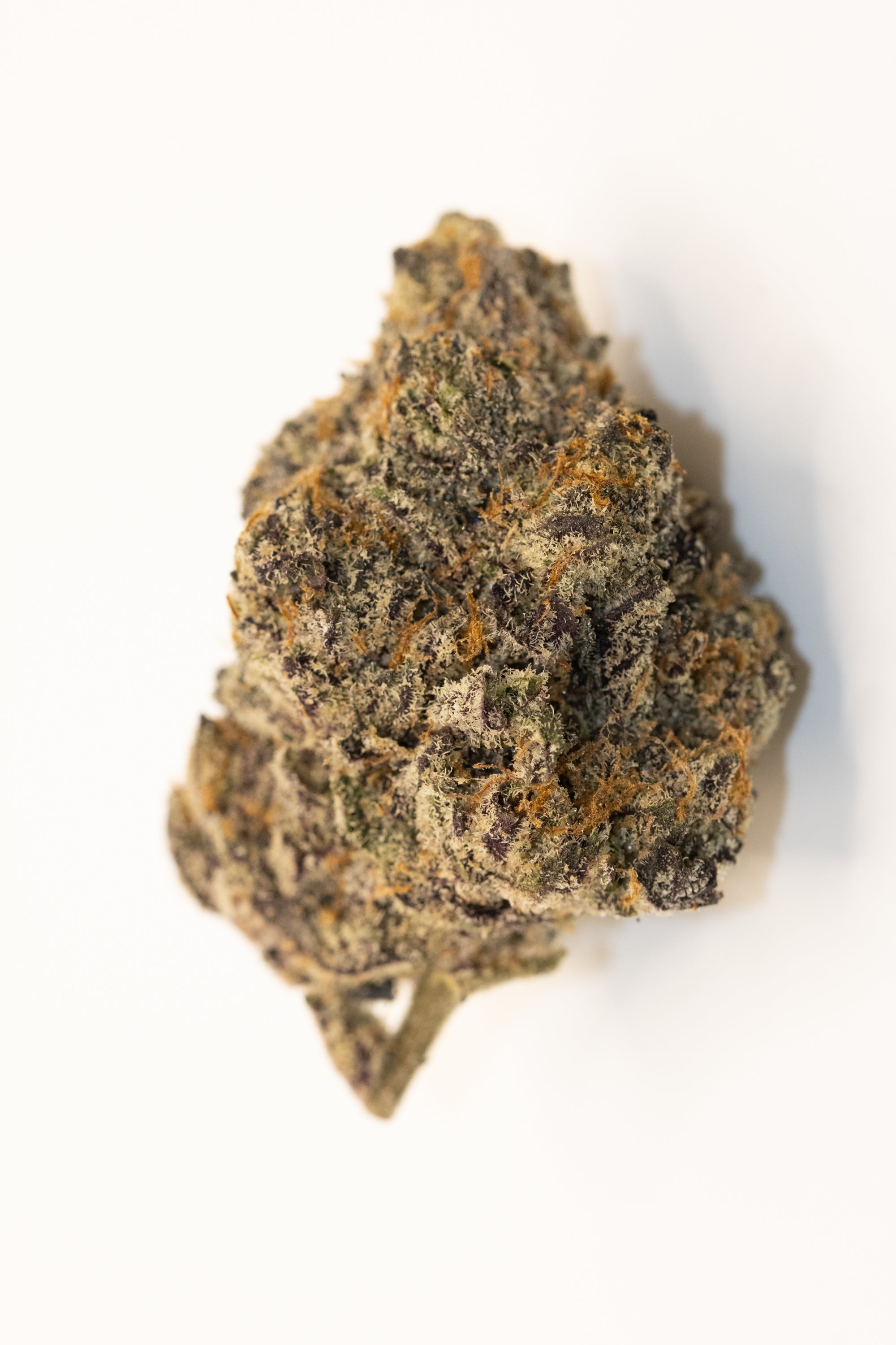 Dark Matter
