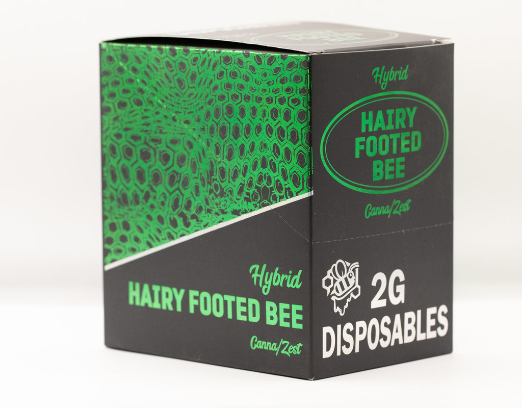 Hairy Footed Bee Disposable (2G)