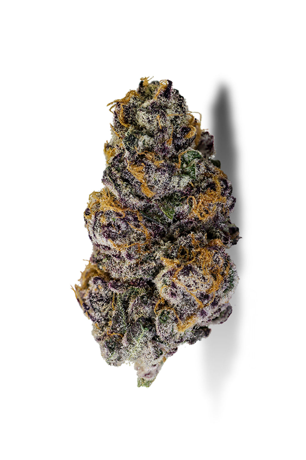 Purple Punch
