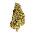 Purple Punch